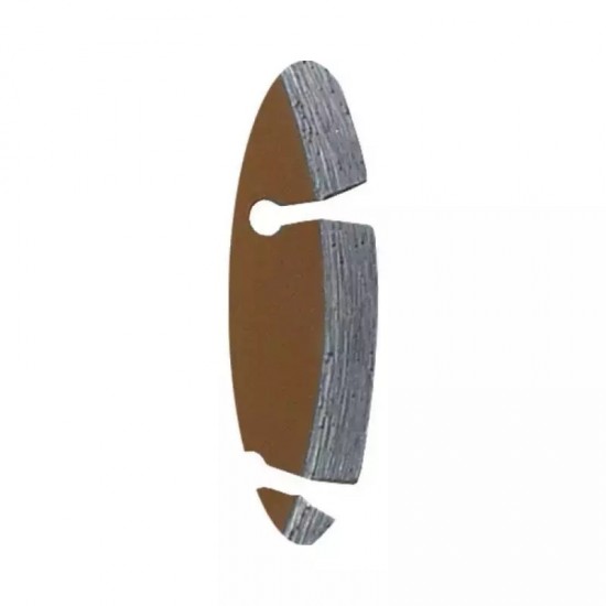 Segmentu disks 125 mm / 22,2 Segmentu disks 125 mm / 22,2