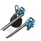 Puteklu sucejs/putejs bezsuku 2x18V Puteklu sucejs/putejs bezsuku 2x18V