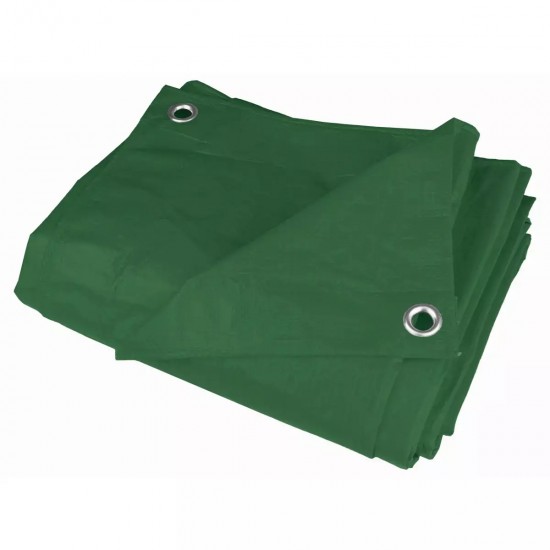 Brezents 2x3m, 80g/m2 Brezents 2x3m, 80g/m2